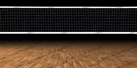 Court Volleyball Wallpaper