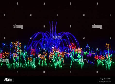 Fountain at Meadowlark Botanical Gardens - Winter Walk of Lights Stock Photo - Alamy