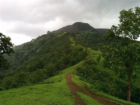 One Tree Hill Point Trek Matheran | Treks and Trails India