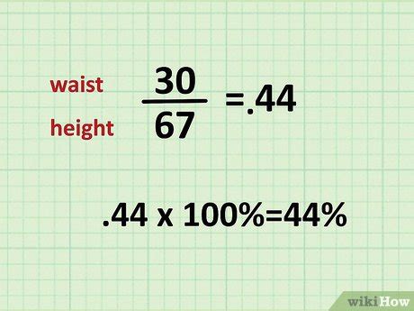 Height to waist ratio calculator - IsaanPietro