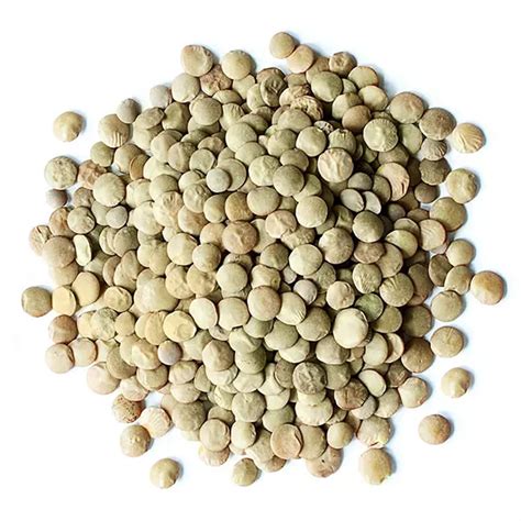 Dried Lentils – Wilcox Foods