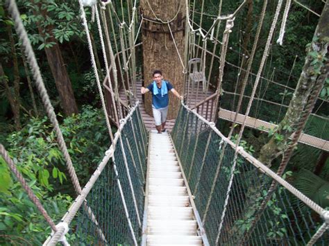 Sya The Backpacker: Taman Negara, Pahang | National Park, Pahang