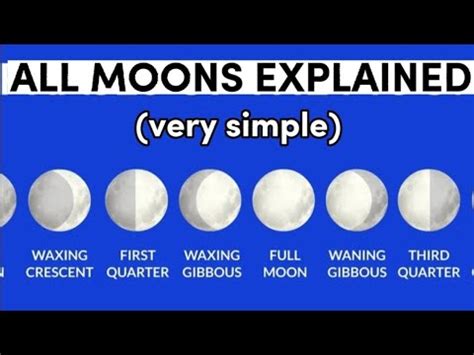 The Moon Cycle in Blox Fruits - YouTube