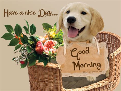 Good Morning With Dog - Good Morning Wishes & Images