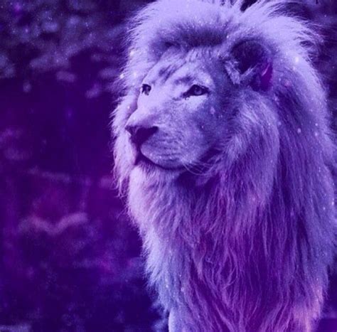 Purple Lion