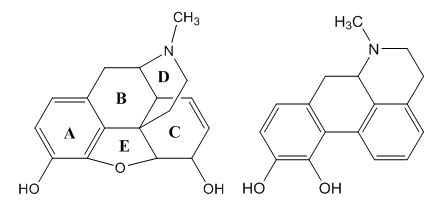 The Mechanism of the Morphine-Apomorphine Rearrangement