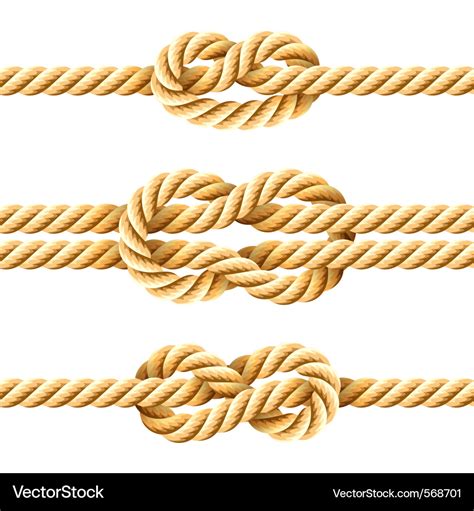 Rope knots Royalty Free Vector Image - VectorStock