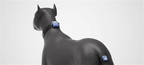 AI Pet Device on Behance