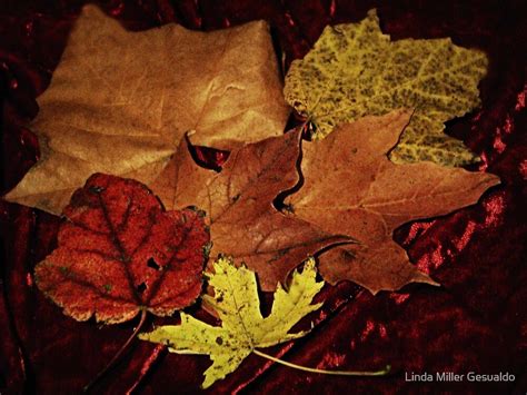 "Autumn Leaf Collage" by Linda Miller Gesualdo | Redbubble