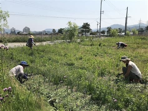 Lessons from Organic Farming in South Korea - Maine Organic Farmers and ...