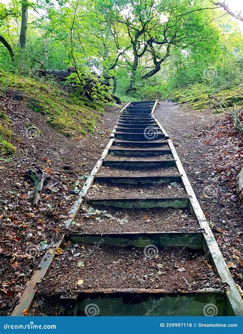 Stairs going to heaven stock photo. Image of railway - 259997118