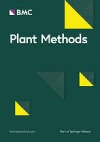 Effect of a suitable treatment period on the genetic transformation efficiency of the plant leaf ...