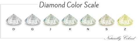 13+ I Color Diamond - IlainaAdrianna