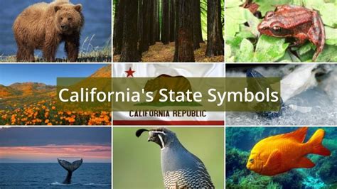 What are California’s State Symbols? - Foreign USA