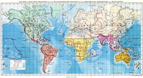 Scientists nearly double the number of biogeographic realms