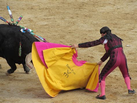 Free Images : performance, portugal, bullring, event, tradition ...