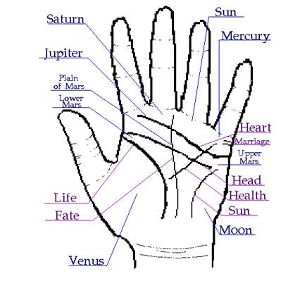 Palm Reading Marriage Line