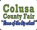 Colusa County Fair (Jun 2015), California City USA - Trade Show