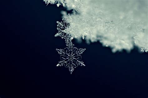 Snowflake Formation, Shape, and Design Explained