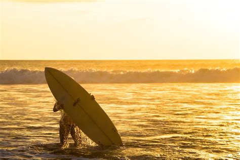 Free stock photo of beach, sunset, surfing