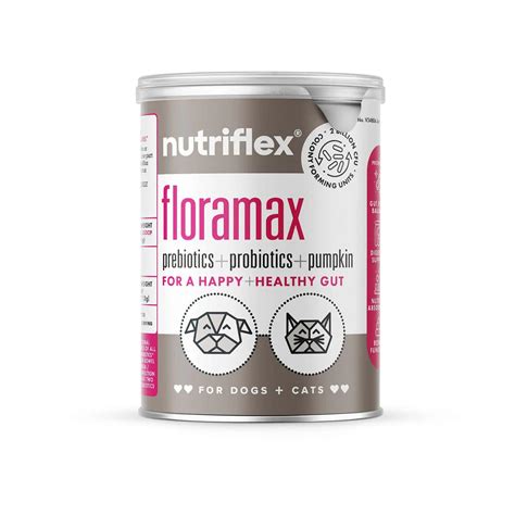 Best Probiotics For Pet Digestive Health | NutriFlex