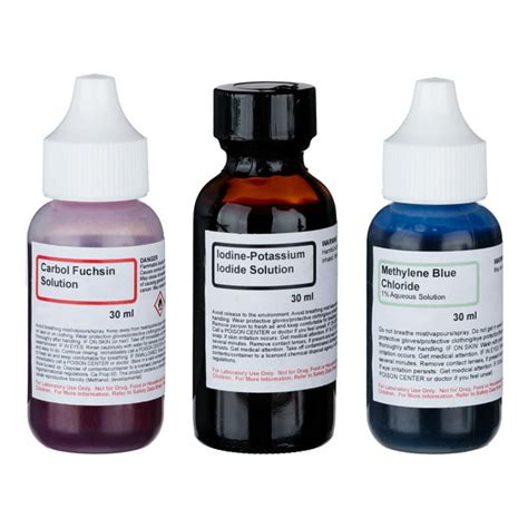 AmScope Simple Stain Kit of Three Chemicals for Preparing Microscope Slides - Walmart.com ...