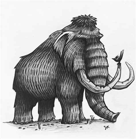 Woolly Mammoth drawing / illustration | Animal drawings sketches ...