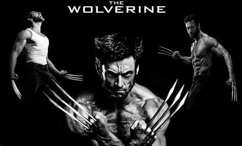 Wolverine Logan wallpaper by firemaster96 on DeviantArt