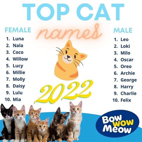 Bow Wow Pet Names: Perfect Dog Name or Cat Name for your new Pet