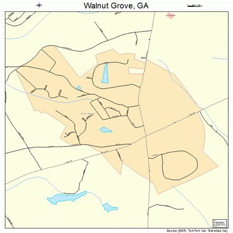 Walnut Grove Georgia Street Map 1380228