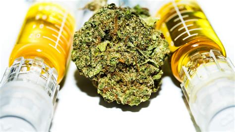 The Complete Beginner’s Guide to Cannabis Oil - Honey Brands