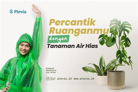 Percantik Ruanganmu dengan Tanaman Air Hias - Plevia Rainwear