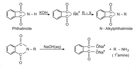 Why cannot aromatic primary amines be prepared by Gabriel phthalimide synthesis?