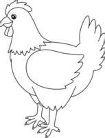 Hen Coloring Page