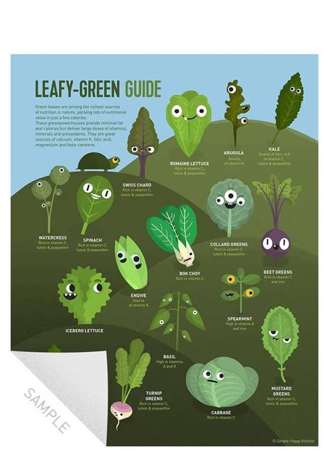 Leafy-Green, Salad Leaves Guide - Print | Vegan nutrition, Going vegan, Whole food recipes
