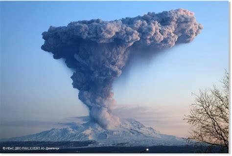 Huge eruption of Bezymianny volcano in Russia — Earth Changes — Sott.net