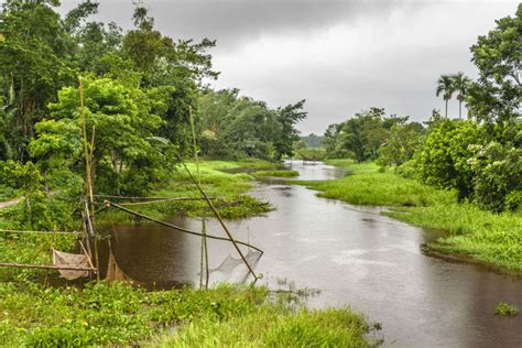 Jorhat | Times of India Travel