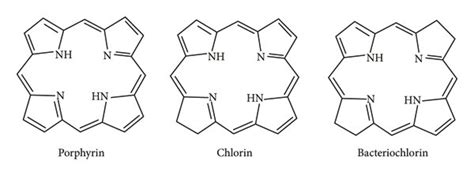 Structure of classifications of tetrapyrrole. | Download Scientific Diagram