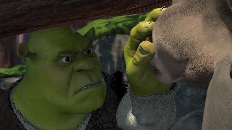 22 Times Shrek And Donkey Perfectly Captured A Night Out With Your BFF