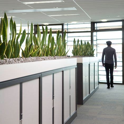 Open Plan Offices - indoor plants displays from Ambius- For inbetween ...