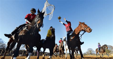 Unleashing the Thrills A Comprehensive Guide to Horseball Rules Gear and FAQs - MLY Menu