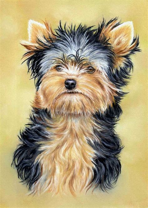 280 best images about Yorkie cartoon on Pinterest | Fine art, Yorkshire ...