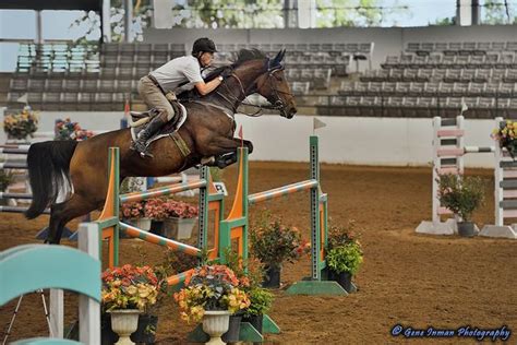 Great Southwest Equestrian Center | Equestrian center, Equestrian ...