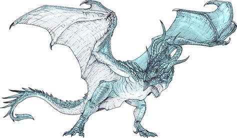 wyvern | Dragon artwork, Dragon art, Fantasy dragon