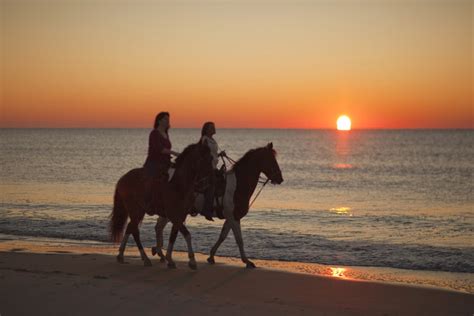 Horse Lovers “Show Up” To Address Beach Riding Ban | Myrtle Beach SC