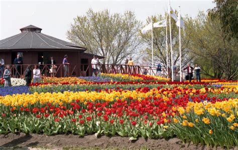 Floriade 1988 (set of 6) | Floriade started in 1988 as a one… | Flickr