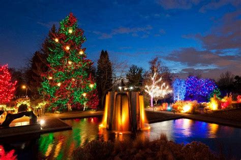 Blossoms of Light Denver Botanic Gardens is one of the very best things ...