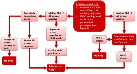 Hemolytic disease of the fetus and newborn and perinatal immune thrombocytopenia | Professional ...