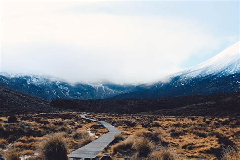 Road toward mountains · Free Stock Photo