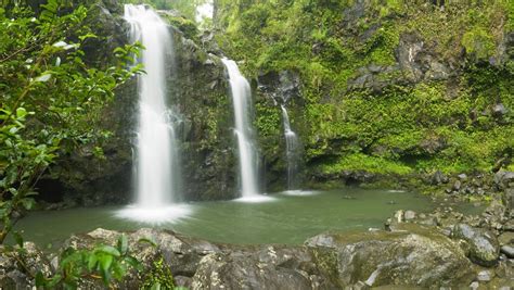 Hana Waterfall & Beach Full Loop Tour & Hana Jungle Tour — Local Maui Tours